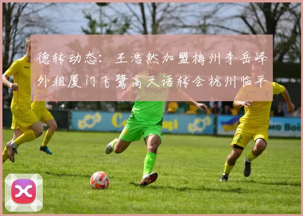 德转动态：王浩然加盟梅州李岳峰外租厦门飞鹭高天语转会杭州临平吴越