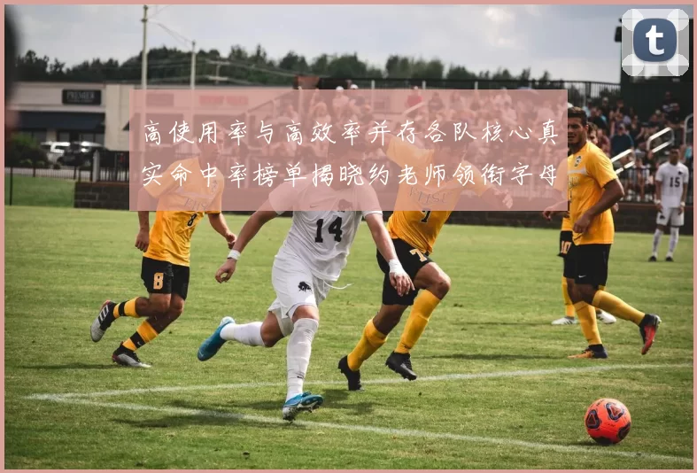 高使用率与高效率并存各队核心真实命中率榜单揭晓约老师领衔字母紧随其后